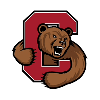 Smart Style for Cornell Fans Logo
