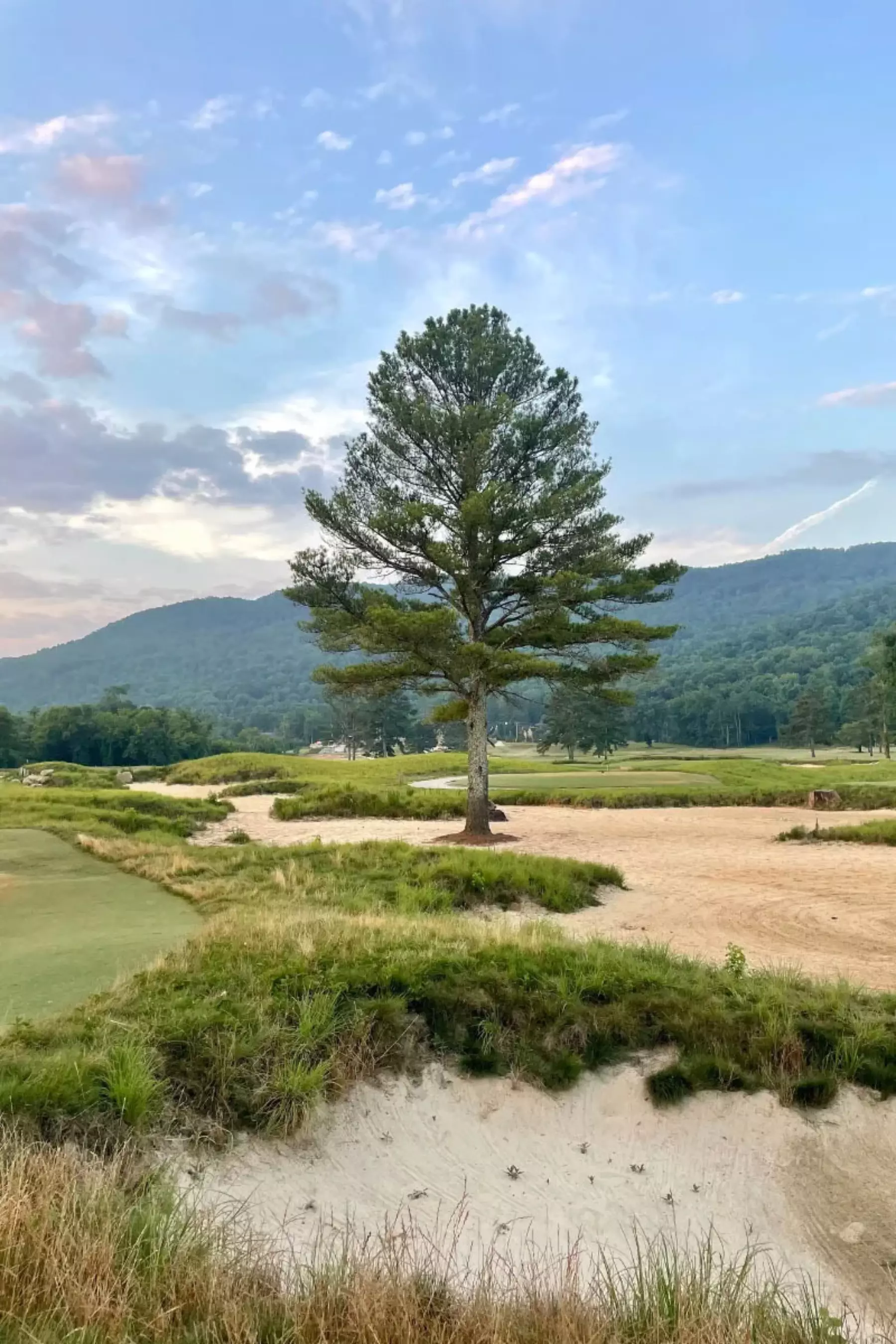 golf-course-2-blog-image