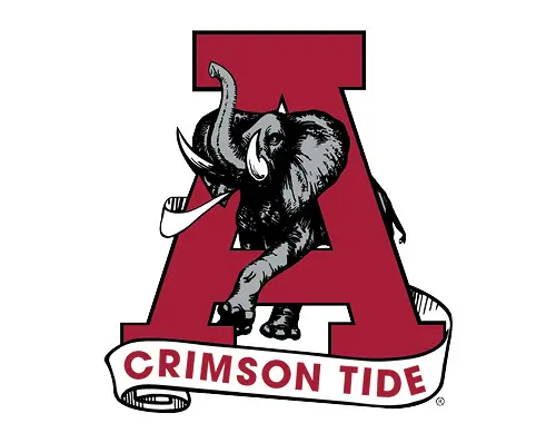 Link to Shop Vault Logo