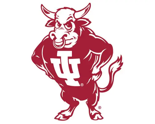 Link to Shop Vault Logo