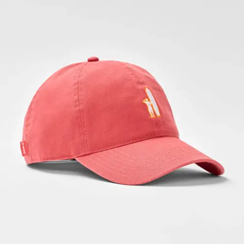 Link to Accessories