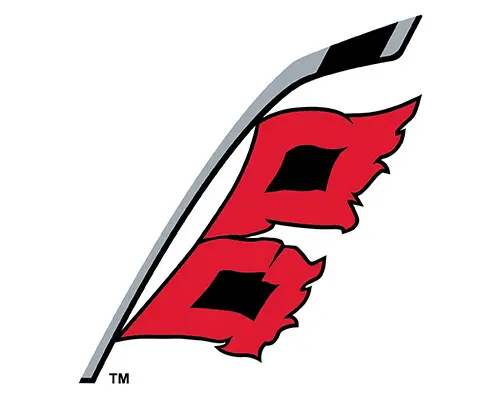 Link to Flag Logo