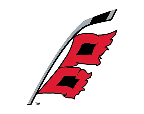 Link to Flag Logo