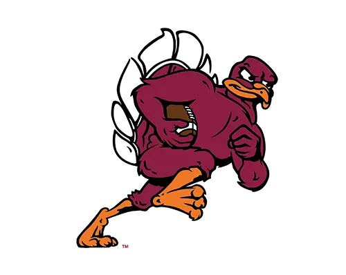 Link to Shop Football Logo