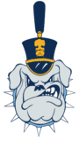 The Citadel Vault Logo