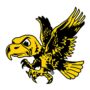 University of Iowa Vault Logo