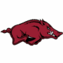University of Arkansas Logo