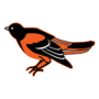 Baltimore Orioles Cooperstown Logo