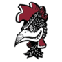 University of South Carolina Vault Logo